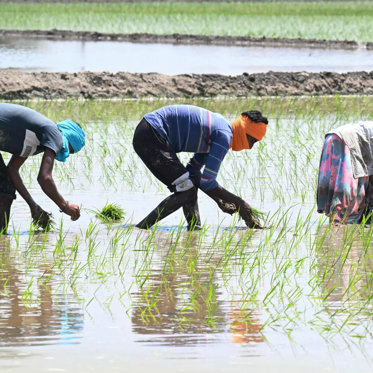 PMO Holds High Level Review Meeting To Assess Impact Of El Nino On Various Sectors PMO Holds High Level Review Meeting To Assess Impact Of El Nino On Various Sectors