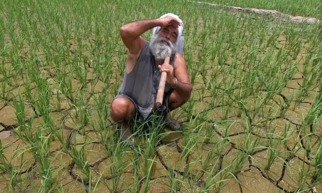 Rush for Borewells Intensifies As El Niño Drying Up Rayalaseema Rush for Borewells Intensifies As El Niño Drying Up Rayalaseema