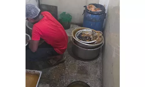 Food Safety Raids Unearth Major Violations