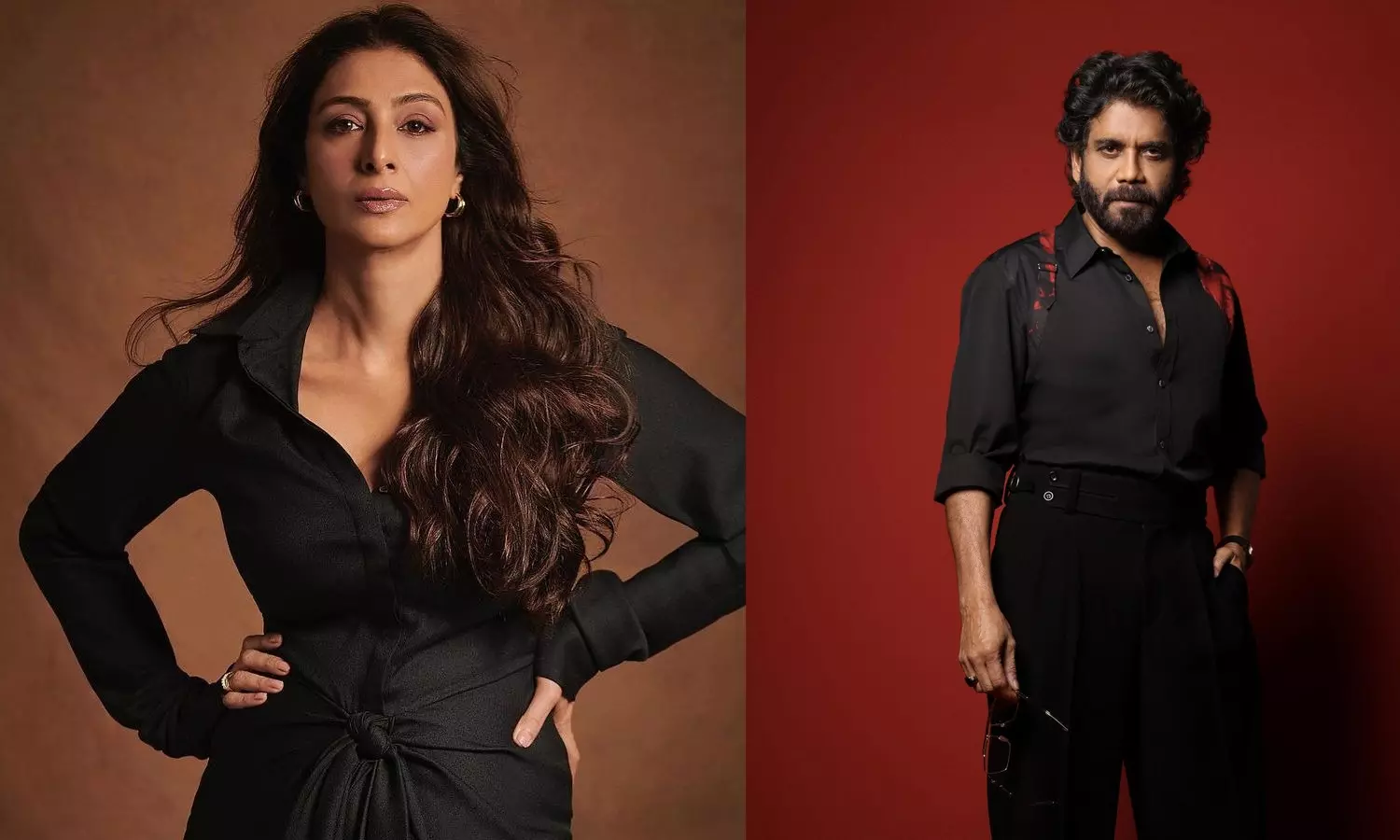 Tabu and Nagarjuna Reunite as Rivals in Superstars 100th Film Tabu and Nagarjuna Reunite as Rivals in Superstars 100th Film