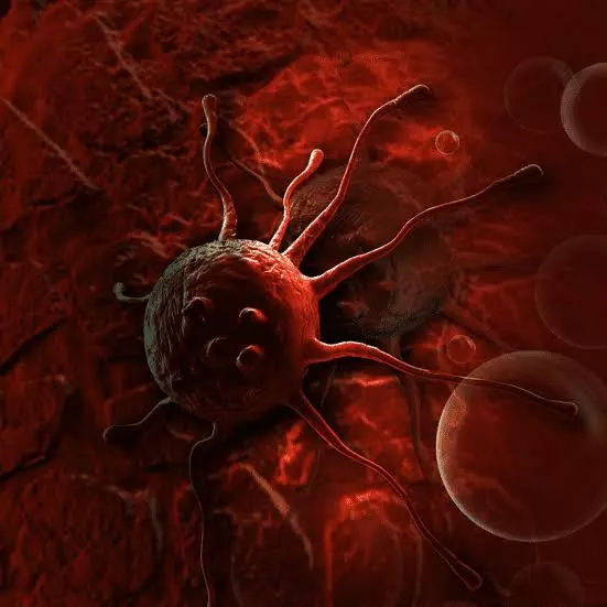Nearly Everyone Will Be Affected By Impact Of Cancer At Least Once In Lifetime: WHO Nearly Everyone Will Be Affected By Impact Of Cancer At Least Once In Lifetime: WHO