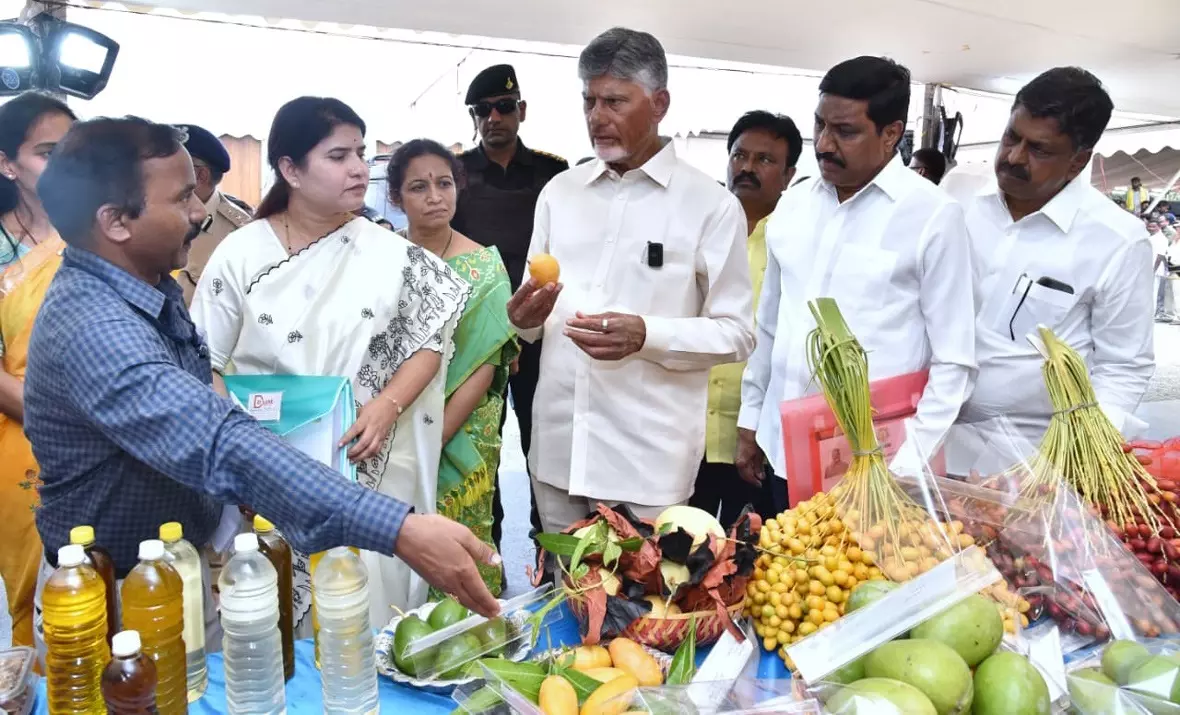 Nandyal Fruits Leave CM Naidu Surprised, Enthused Nandyal Fruits Leave CM Naidu Surprised, Enthused