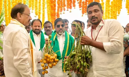Agriculture Top Pority for Telangana Govt: Bhatti Agriculture Top Pority for Telangana Govt: Bhatti