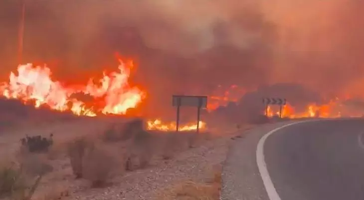 Spain Wildfire Kills 12 Amid Extreme Heat Spain Wildfire Kills 12 Amid Extreme Heat