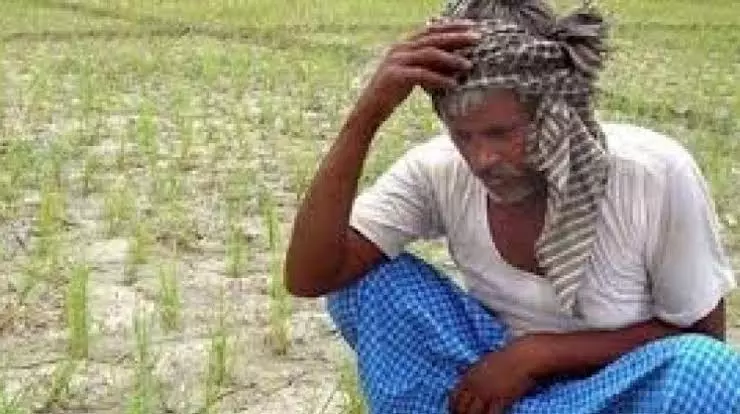 Haveri farmer Dies After Consuming Poison As Crop Fails, Debts Mount Haveri farmer Dies After Consuming Poison As Crop Fails, Debts Mount