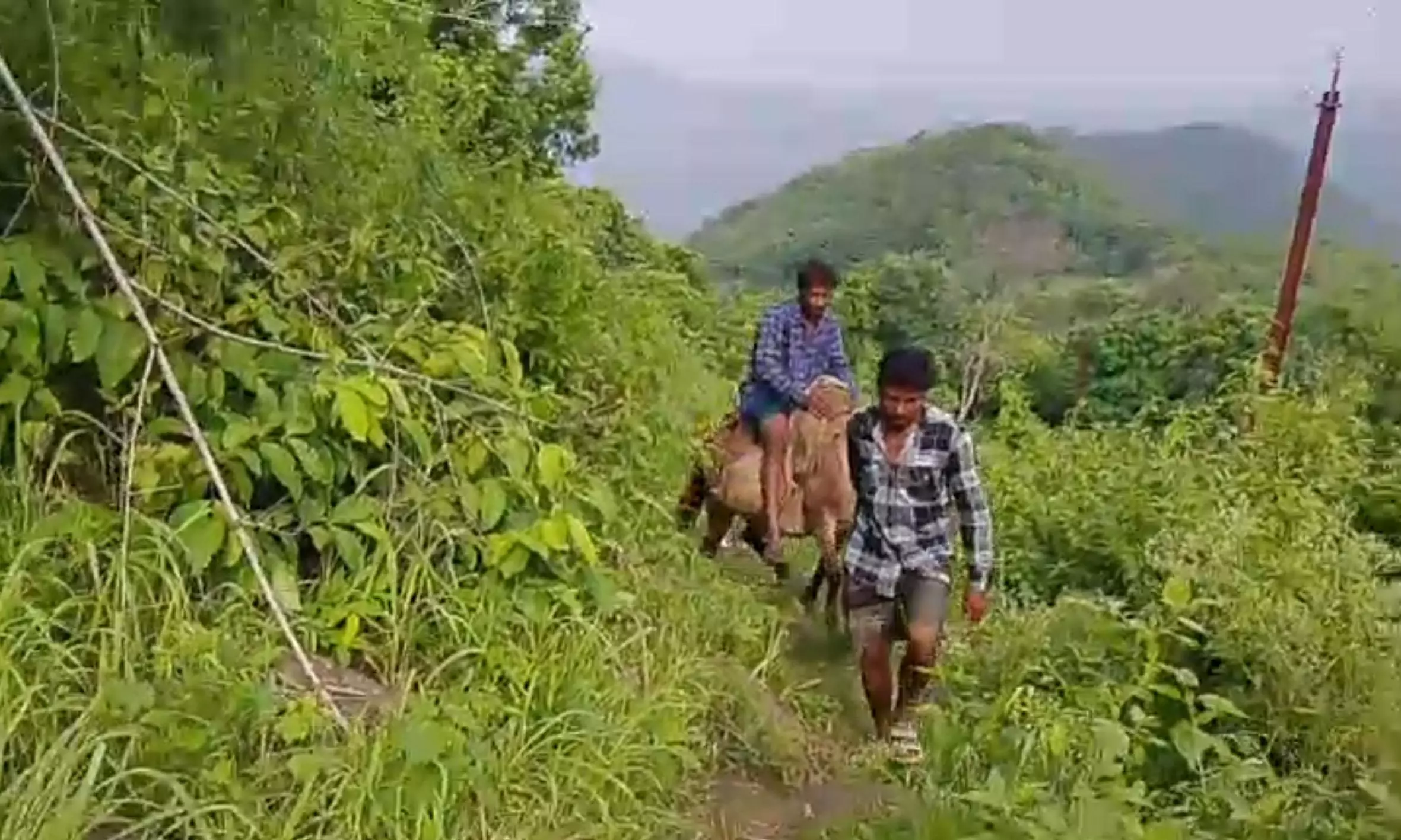 Anakapalli Tribals Travel 10 km for Rations Anakapalli Tribals Travel 10 km for Rations