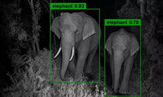 Chhattisgarh’s Udanti-Sitanadi Becomes India’s First Tiger Reserve To Deploy AI Smart Surveillance Chhattisgarh’s Udanti-Sitanadi Becomes India’s First Tiger Reserve To Deploy AI Smart Surveillance