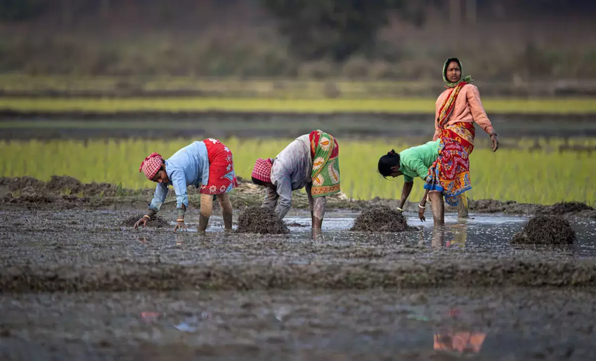 Women’s Land Holdings Show Marginal Rise in Agri Ministry Report Women’s Land Holdings Show Marginal Rise in Agri Ministry Report
