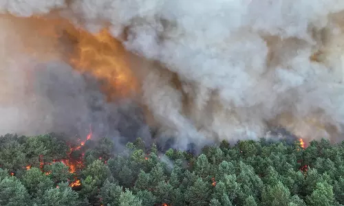 Wildfires Ravage Over 1,300 Hectares of Historic Forest Near Paris Wildfires Ravage Over 1,300 Hectares of Historic Forest Near Paris