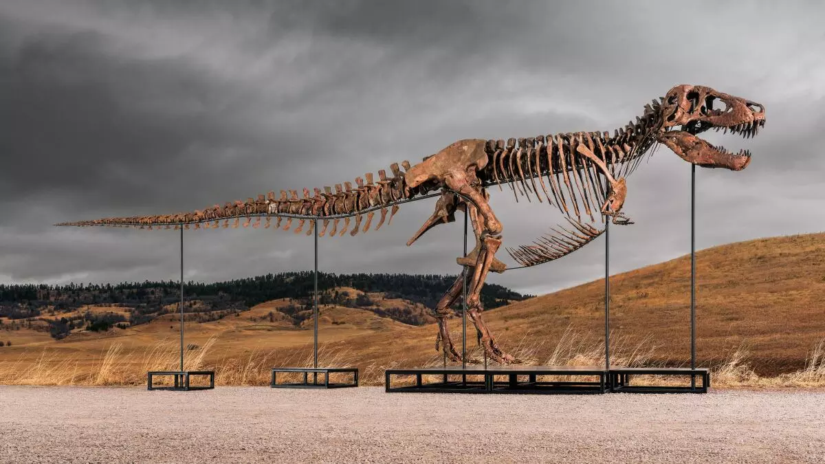 Mystery Bidder Buys T. Rex Nicknamed ‘Gus’ For A Record $50 Million Mystery Bidder Buys T. Rex Nicknamed ‘Gus’ For A Record $50 Million