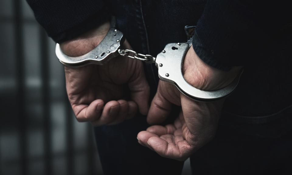 Malaysian Held With Rs 4-cr Hydroponic Cannabis at Chennai Airport