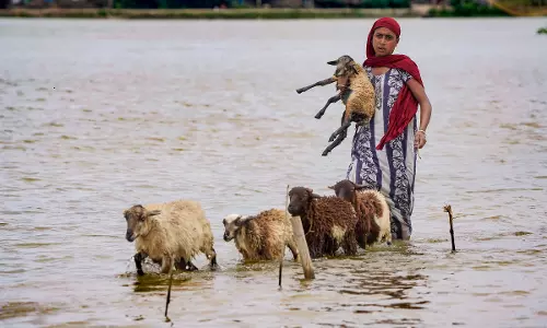 Assam Flood Fury: Over 37,000 People Affected in Six Districts Assam Flood Fury: Over 37,000 People Affected in Six Districts