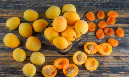 Ladakh Steps Into Global Spotlight as First Apricot Consignment to Dubai Takes Off Ladakh Steps Into Global Spotlight as First Apricot Consignment to Dubai Takes Off