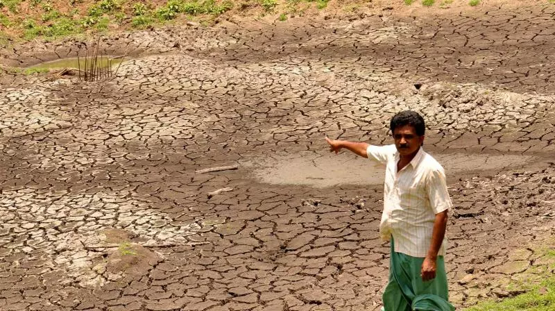 Weak Monsoon Raises Drought Fears in Undivided Warangal Weak Monsoon Raises Drought Fears in Undivided Warangal