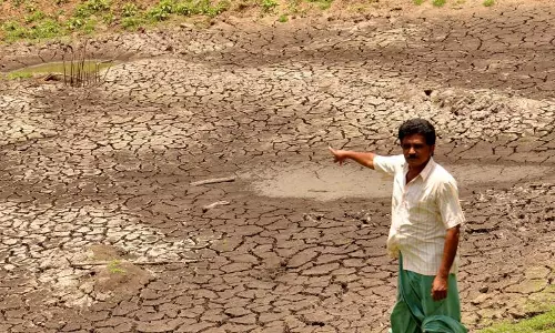 Weak Monsoon Raises Drought Fears in Undivided Warangal Weak Monsoon Raises Drought Fears in Undivided Warangal