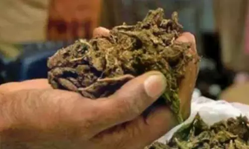 Telangana: CP Warns Of Tough Action Against Ganja Network Telangana: CP Warns Of Tough Action Against Ganja Network