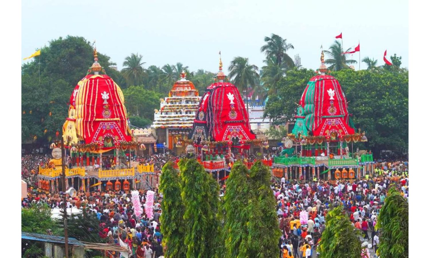 Lord Jagannath And Siblings Reach Gundicha Temple As Rath Yatra Enters Final Leg