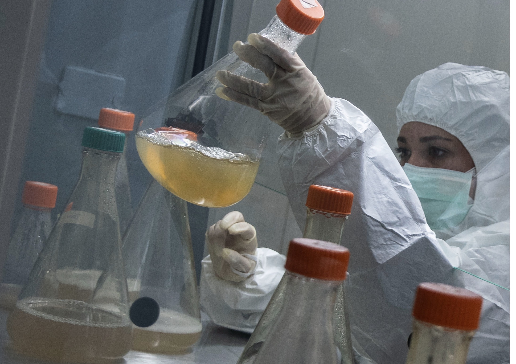 Hyderabad, Bengaluru Flagged as Bioeconomy Hubs