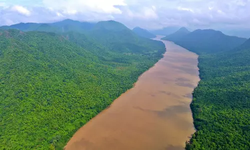 750 Hectares Of Forest Land Likely To Be Diverted For Coal Mining In Odishas Angul 750 Hectares Of Forest Land Likely To Be Diverted For Coal Mining In Odishas Angul