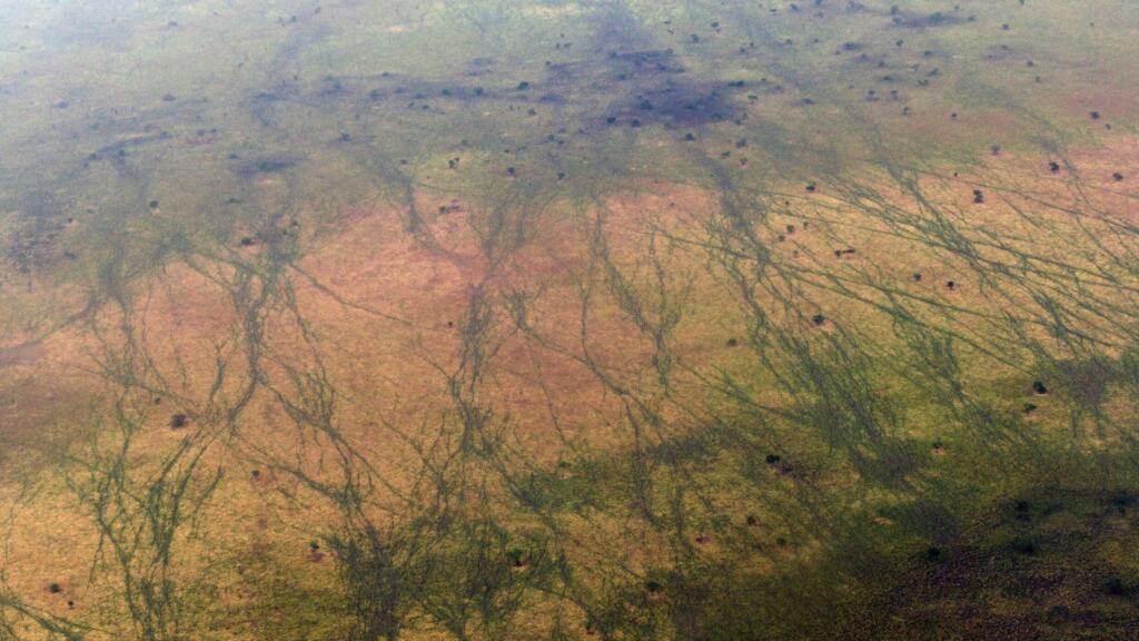 UN To List More Sites As 'In Danger' From Conflict Or Climate Change