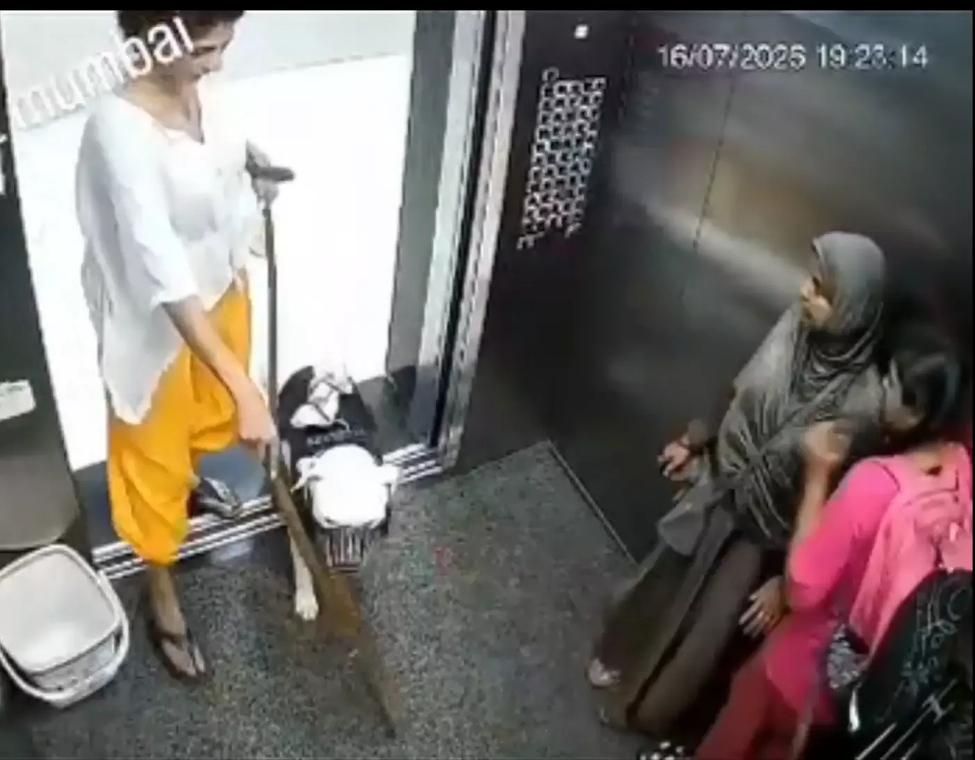 Mumbai : Pet Dog Lunges At 3 Girls In A lift; CCTV Clip Goes Viral Mumbai : Pet Dog Lunges At 3 Girls In A lift; CCTV Clip Goes Viral