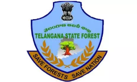Manubotlagudem Incident: Staff Responded in Self-Defence, Says DFO Manubotlagudem Incident: Staff Responded in Self-Defence, Says DFO
