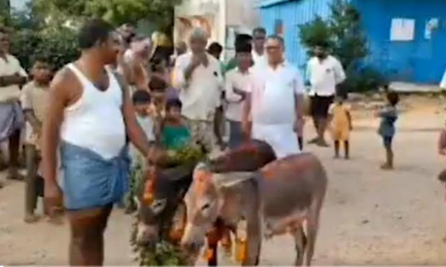 Andhra Villagers Perform Donkey Wedding for Rain