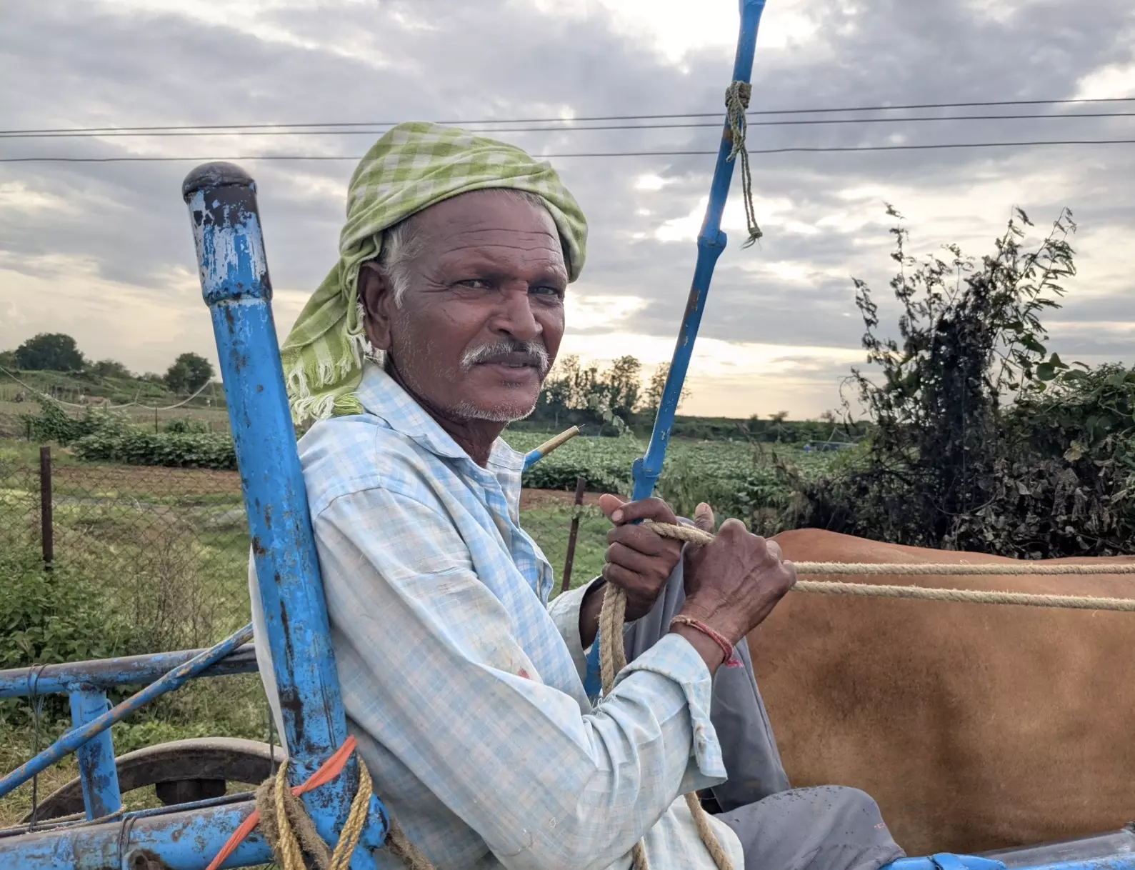 Rain Deficit Leaves Adilabad Farmers Anxious Over Kharif Crops Rain Deficit Leaves Adilabad Farmers Anxious Over Kharif Crops