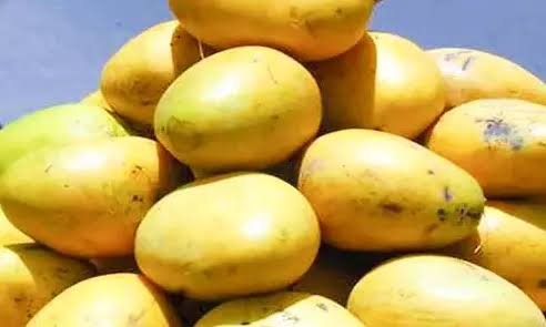Tirupati Begins First Mango Pulp Exports To UK Under India-UK FTA