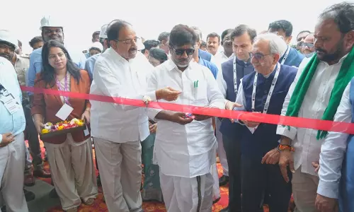 Oil Palm Offers Farmers Stable Income: Bhatti