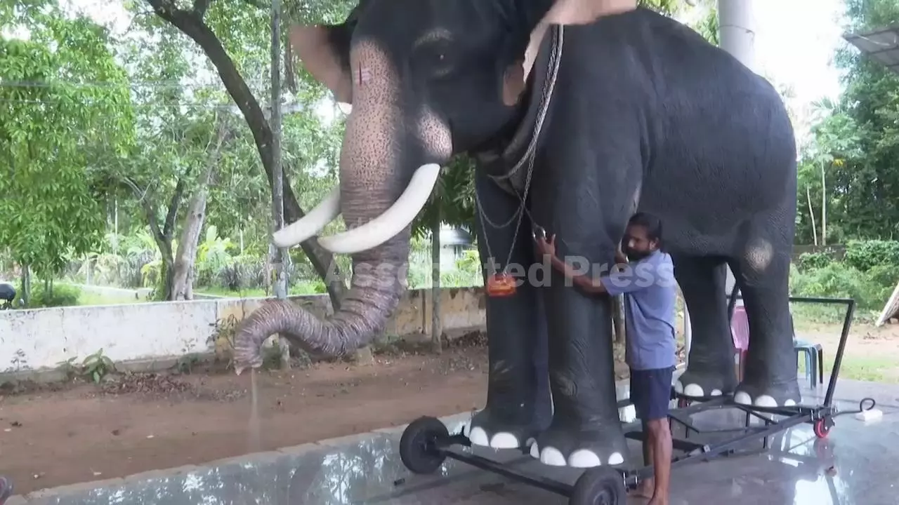 Robotic Elephants Draw Crowds And Controversy In Some Of India’s Temples Robotic Elephants Draw Crowds And Controversy In Some Of India’s Temples