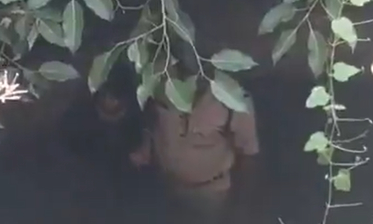 Dial 112 Alert Saves Woman From Well