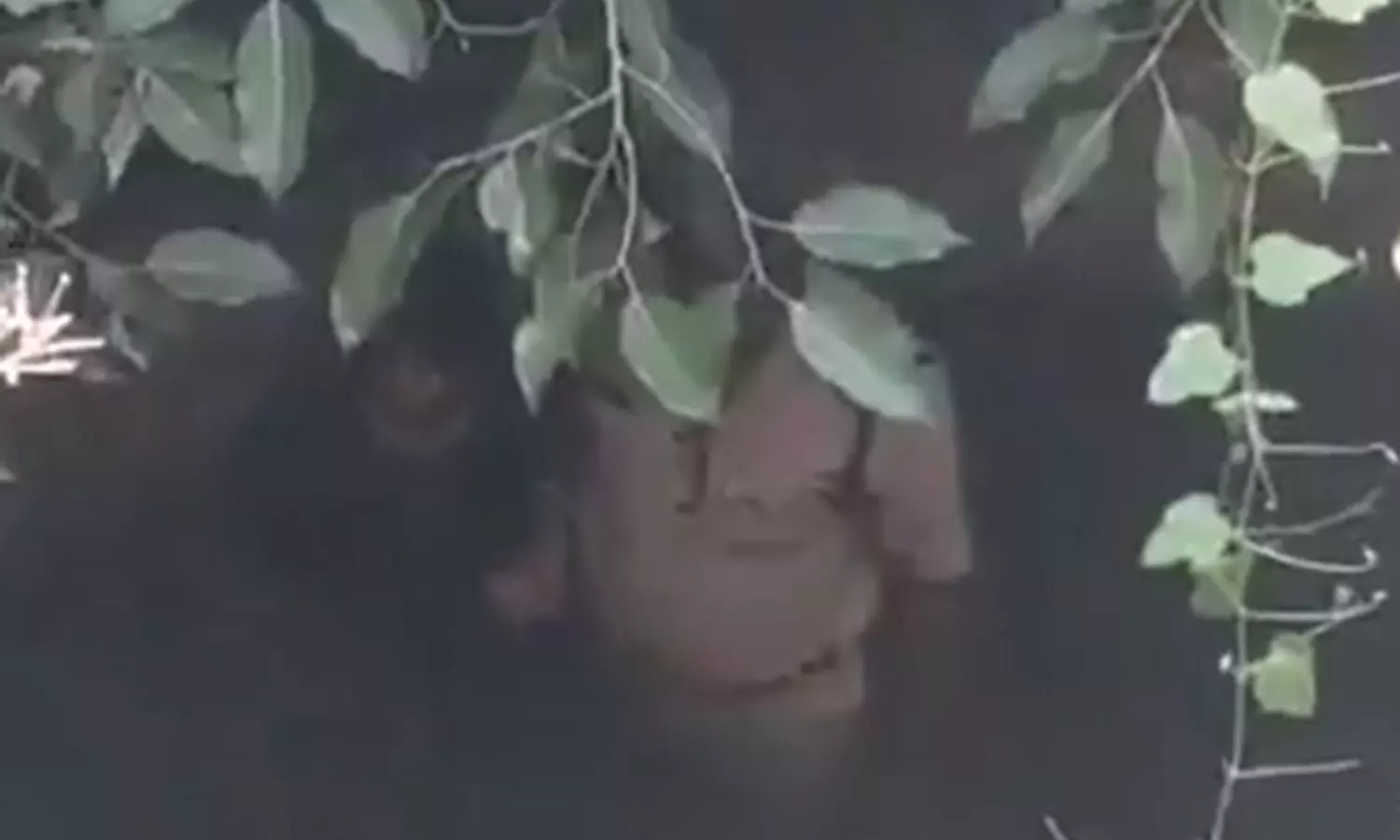 Dial 112 Alert Helps Police Rescue Woman From Inside Well Dial 112 Alert Helps Police Rescue Woman From Inside Well