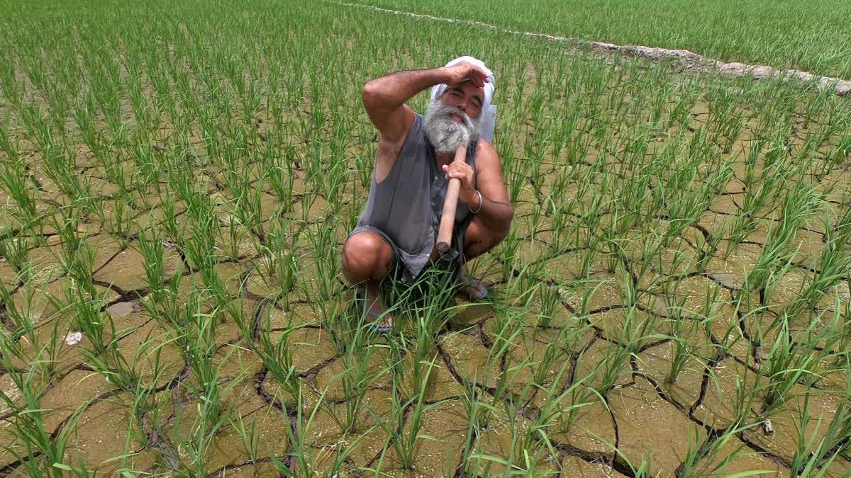 El Niño Threat Prompts Telangana To Redraw Plans Across Sectors