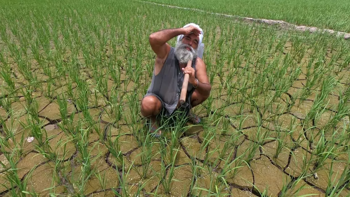 El Niño Threat Prompts Telangana To Redraw Plans Across Sectors El Niño Threat Prompts Telangana To Redraw Plans Across Sectors