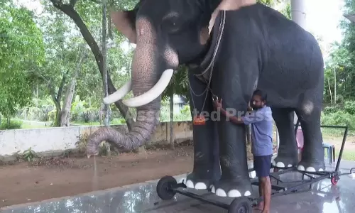 Robotic Elephants Draw Crowds And Controversy In Some Of India’s Temples