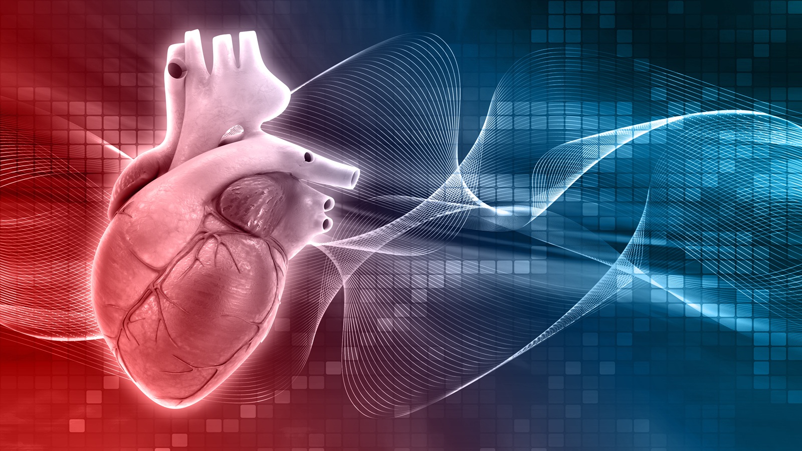 Doctors Highlight Prosthetic Valves and AI Cardiac Monitoring Research