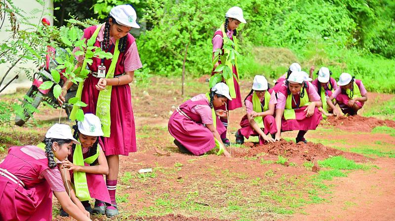 Malkajgiri Municipal Corporation Pushes Tree Plantation