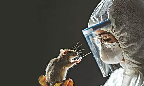 A Raincheck on Leptospirosis