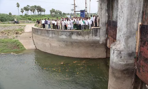 Agriculture Minister Urges Farmers To Avoid Paddy Cultivation Agriculture Minister Urges Farmers To Avoid Paddy Cultivation