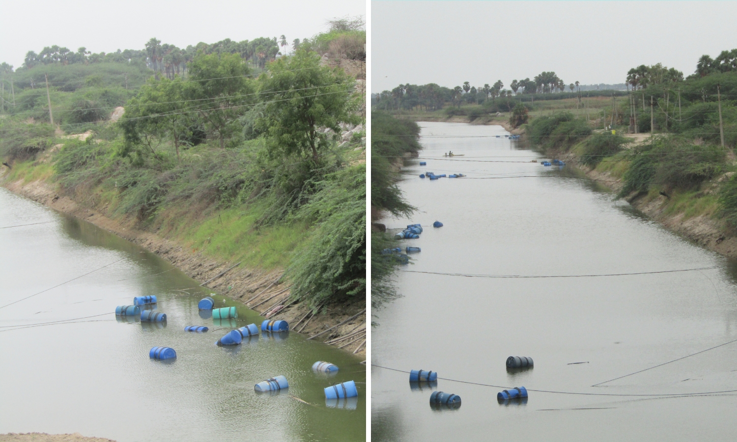 Illegal Tapping of Water From Udhaya Samudram Canal Continuing Unabated