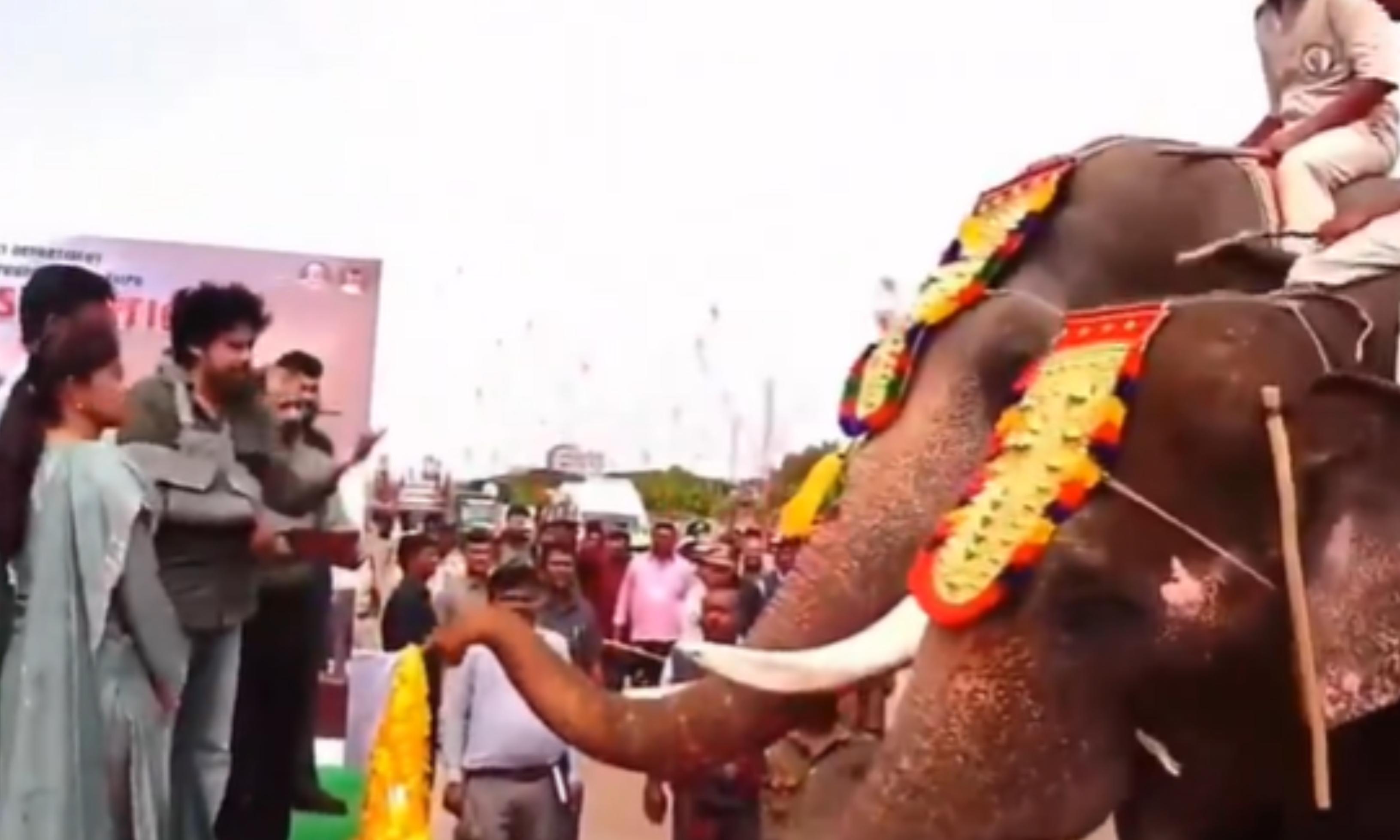 AP Deputy CM Welcomes Kumki Elephants for Wildlife Management