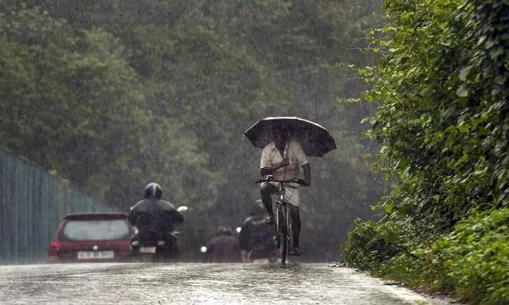 Heavy Rain Forecast: Dakshina Kannada, Udupi Declare Holiday On July 25