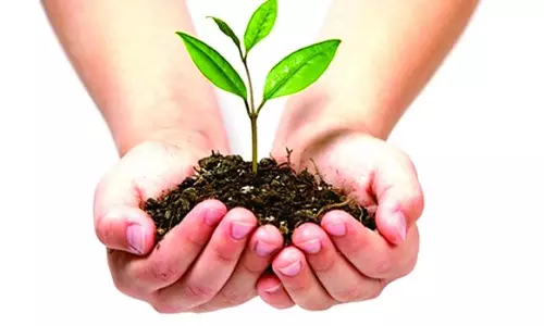 HMDA to Distribute Five Free Saplings Each to One Lakh Families HMDA to Distribute Five Free Saplings Each to One Lakh Families