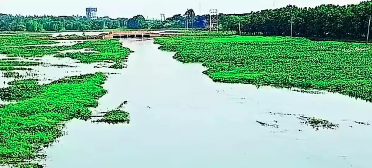 NGT Seeks Centres Reply on Degrading Kanwar Lake NGT Seeks Centres Reply on Degrading Kanwar Lake