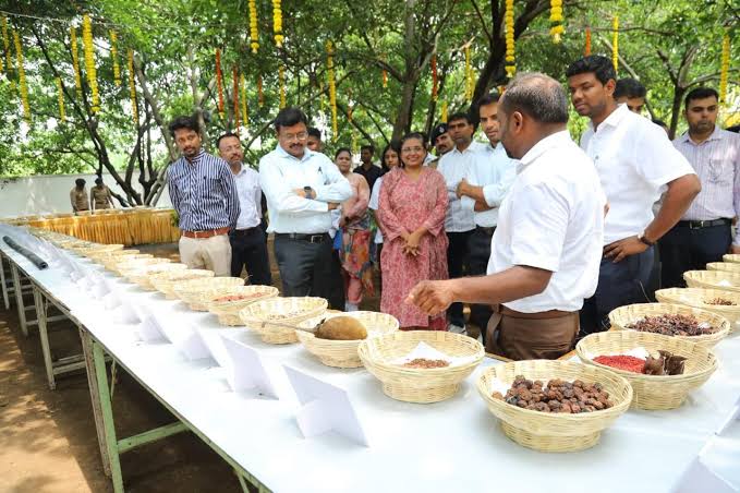 Agri Dept to Conduct Seed Melas From Today