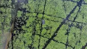 Kondakarla Ava to Be Conservation Reserve; Pawan Seeks Faster Wetland Protection Kondakarla Ava to Be Conservation Reserve; Pawan Seeks Faster Wetland Protection