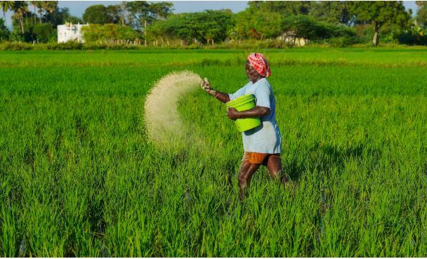 Telangana Ensures Adequate Fertilizer Supply Amid Crackdown