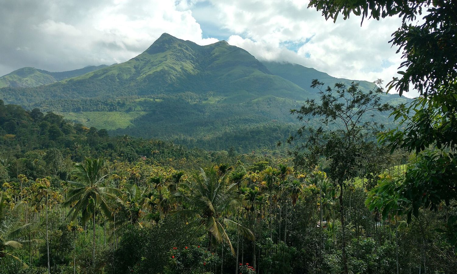 Trekkers Rescued After Getting Lost on Hill in Wayanad