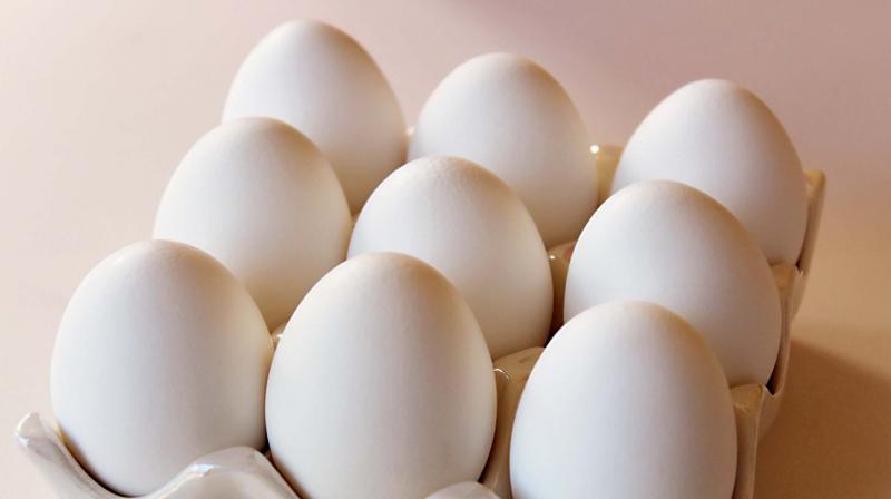 Eggs Missing From Mid-Day Meals As Price Urge Hits Agencies